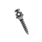 Microtornillo Interradicular de Titanio longitud 6 mm, transmisión 2mm, Ø1.5 mm (2 Unidades) - Imagen 2
