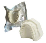 Orbital Bone Maxilar con todos sus dientes