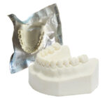 Orbital Bone Mandibula con todos sus dientes