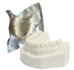 Orbital Bone Mandibula con todos sus dientes