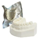 Orbital Bone Mandibula con todos sus dientes