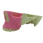 Orbital Bone Maxilar con Base de Cráneo y Tejido Blando - Imagen 3